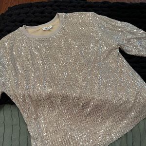Top Style Sequin Blouse